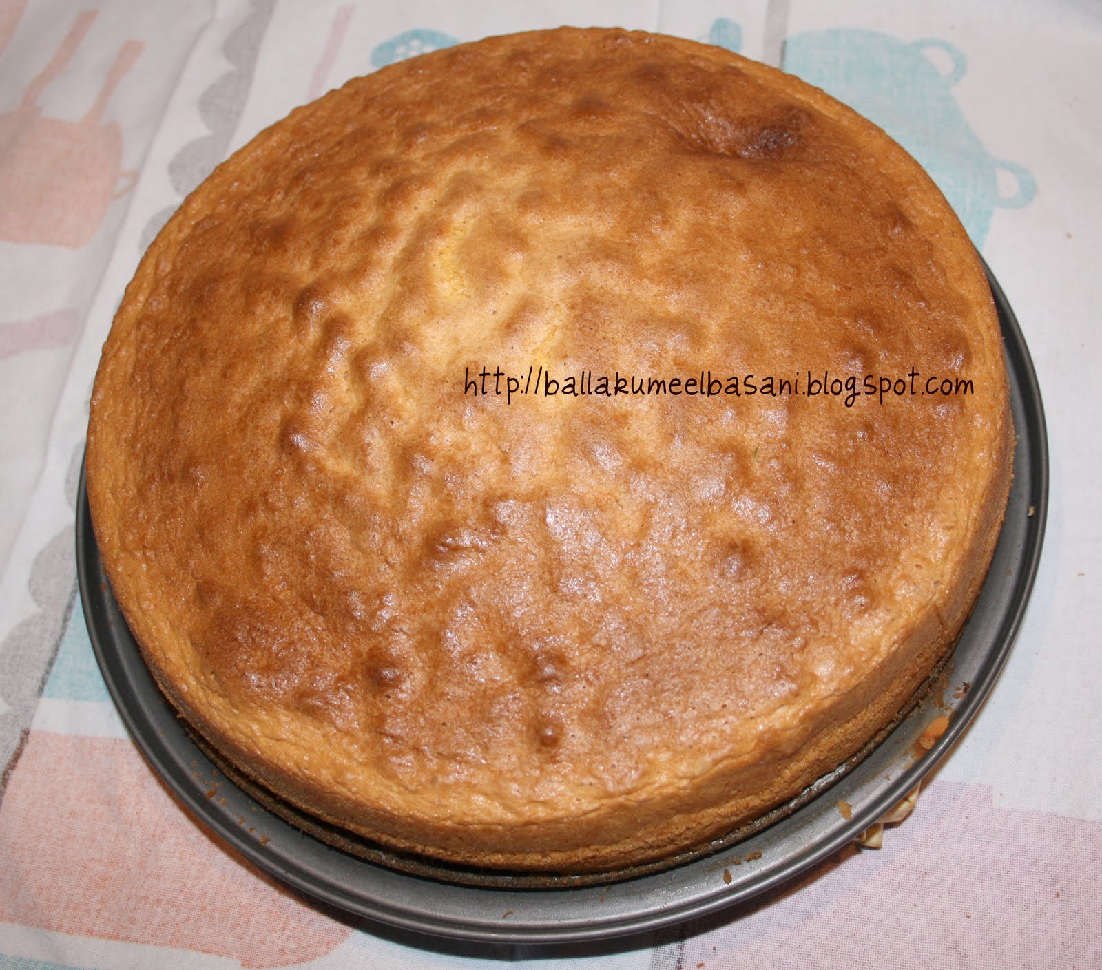 Pandispanja x tepsi me diameter 24 cm