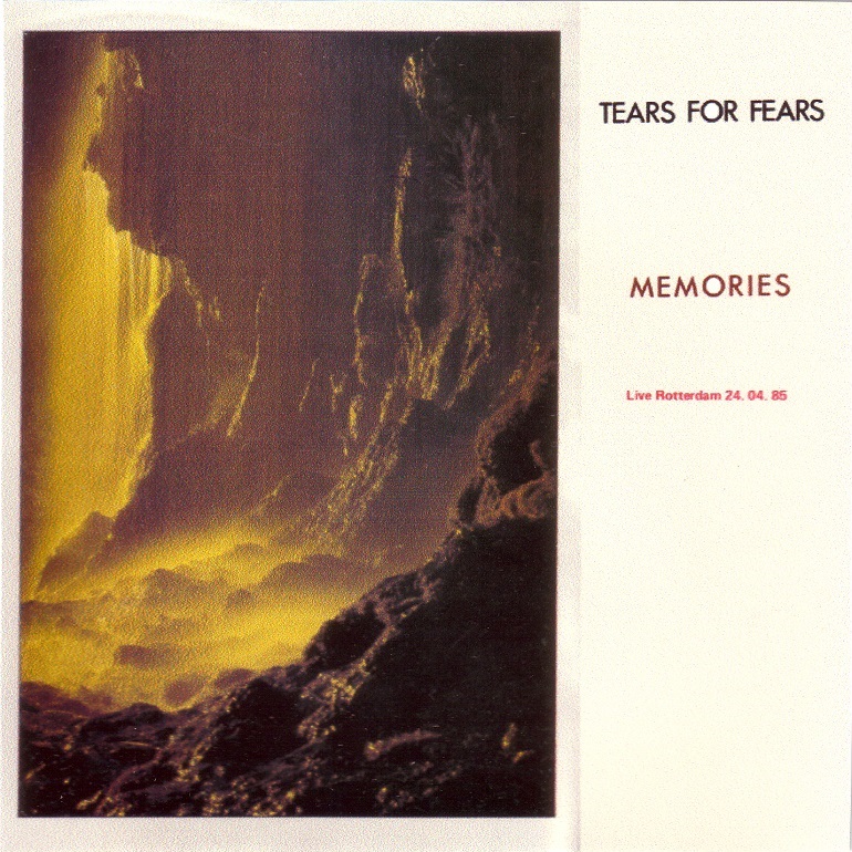Tears for fears the hurting flac