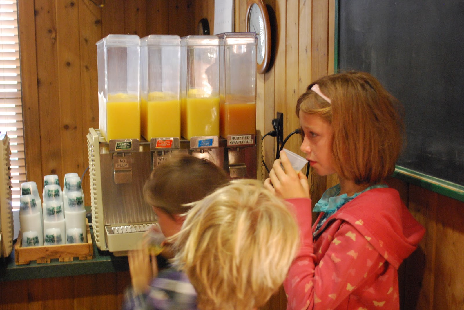 mamascout orange juice factory tour