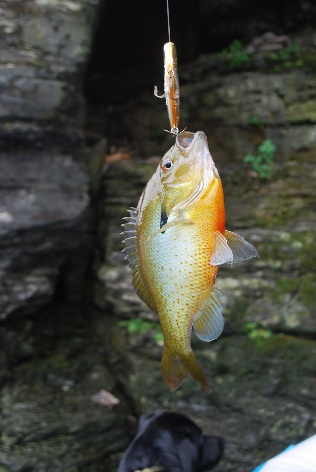 Litton's Fishing Lines Smallmouth Bass, Walleye Fishing Annual