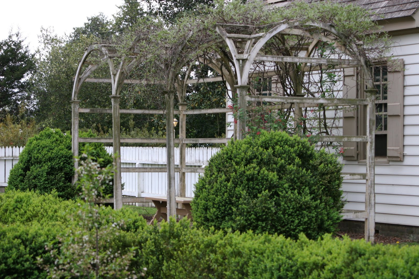 What makes me happy: Veggie Garden Inspiration