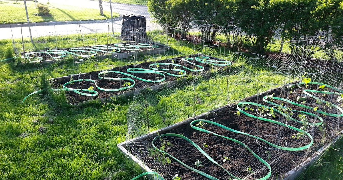 The Sustainable Couple: An Irrigation System for the Garden.