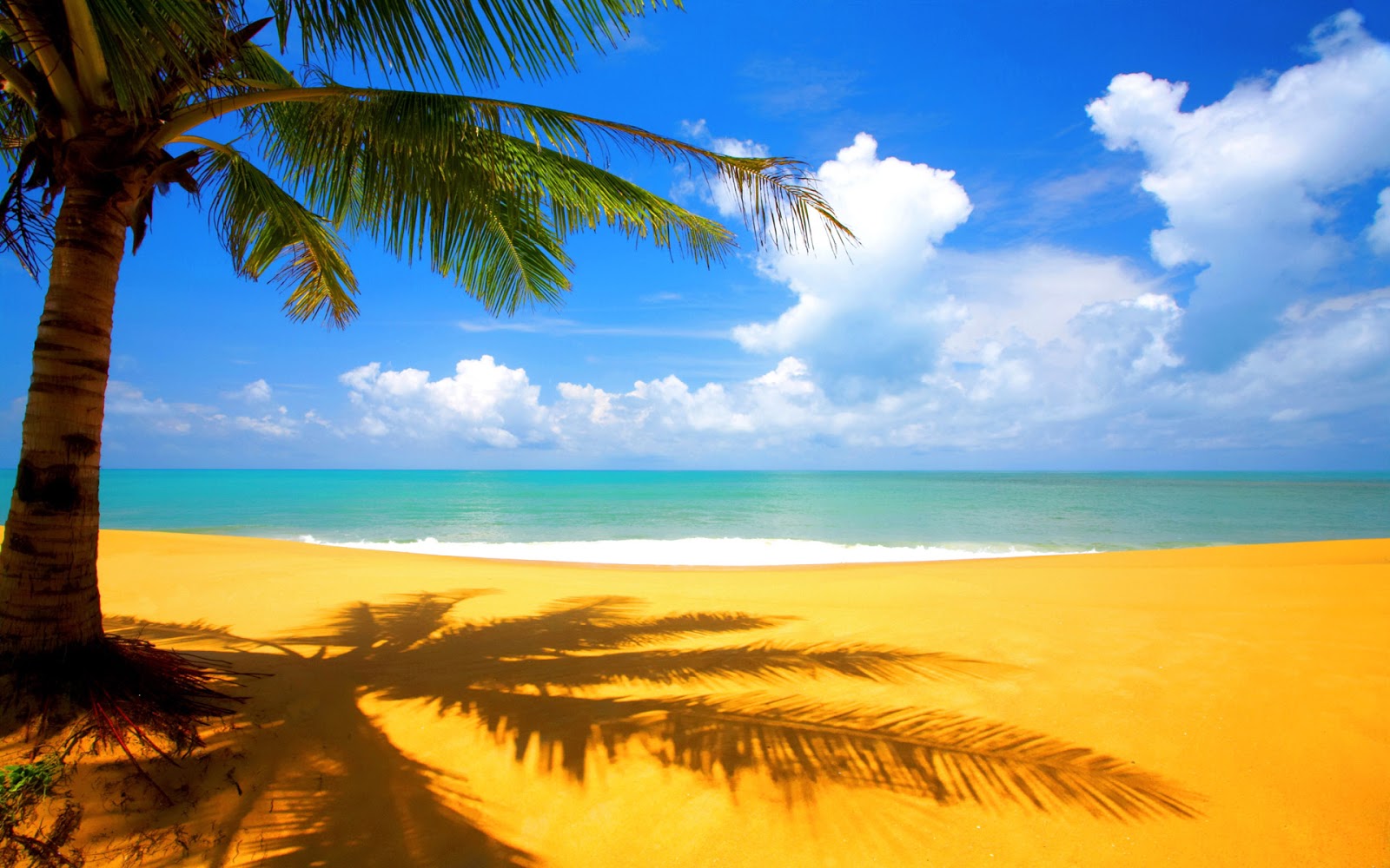 http://2.bp.blogspot.com/-uZCRbpFEPXU/UOV_rc0zhvI/AAAAAAAAADU/36kCK7BUq-c/s1600/Fondos-de-pantalla-HD-imagenes-de-escritorio-HD-playa.jpeg