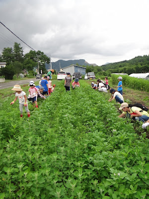 ダイジェスト「夏、7月末から9月初旬」