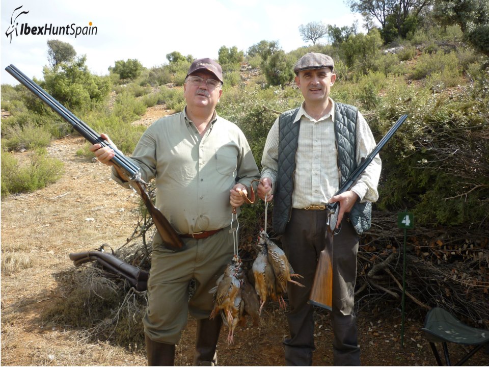 Spanish Ibex Hunts Ibex Hunting in Spain Driven Partridges Spanish