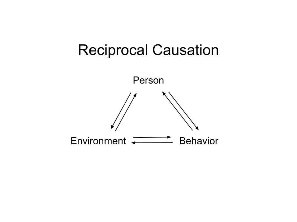 what is reciprocal causality