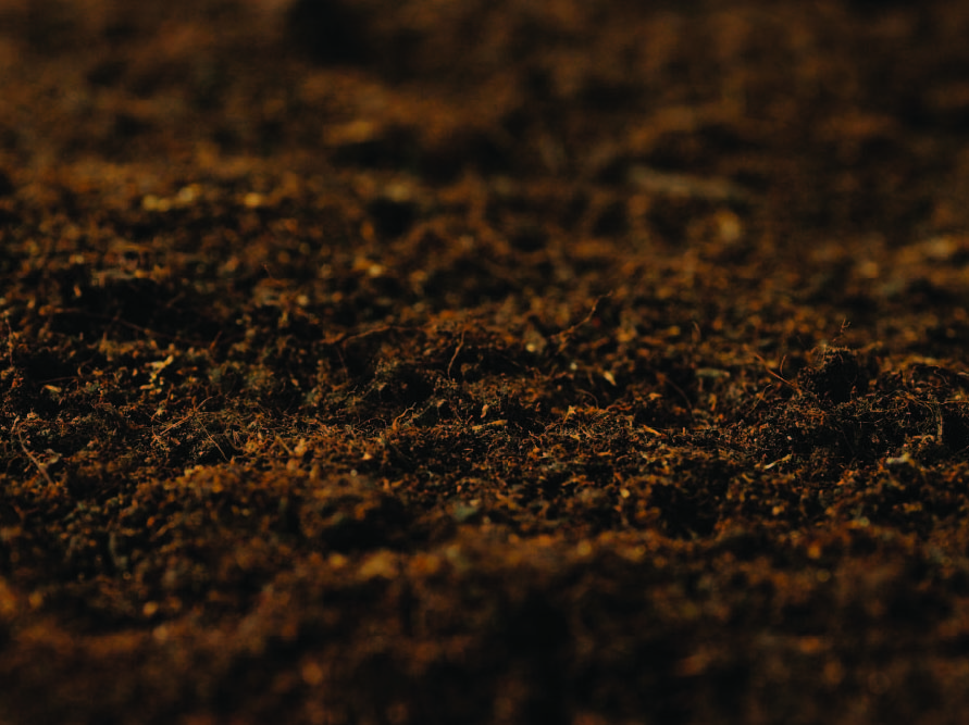 Whitetail Institute Simple Soil Test Helps Ensure TopNotch Food Plots