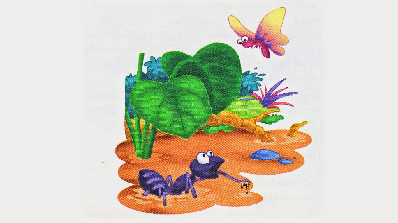 Dongeng Sebelum Tidur SEMUT YANG SOMBONG DAN KUPUKUPU