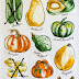 #SundaySupper is Squashin' Winter!