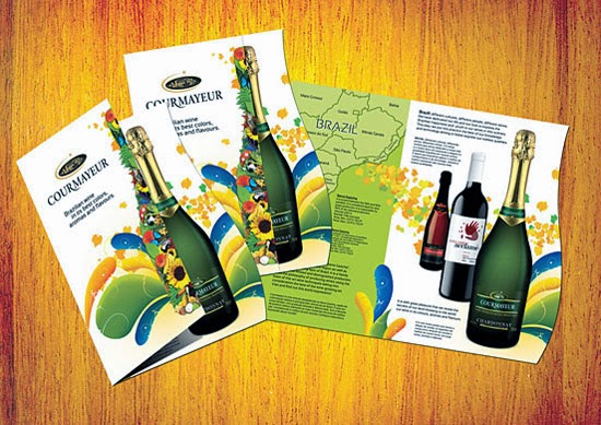 Creative Brochure Designs