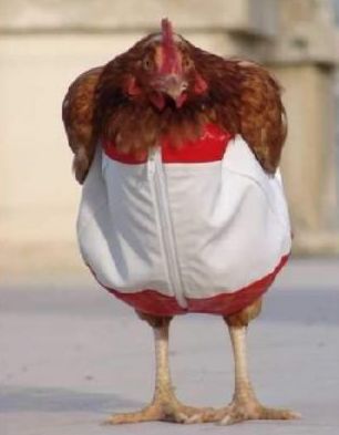 les plus grandes prostituées