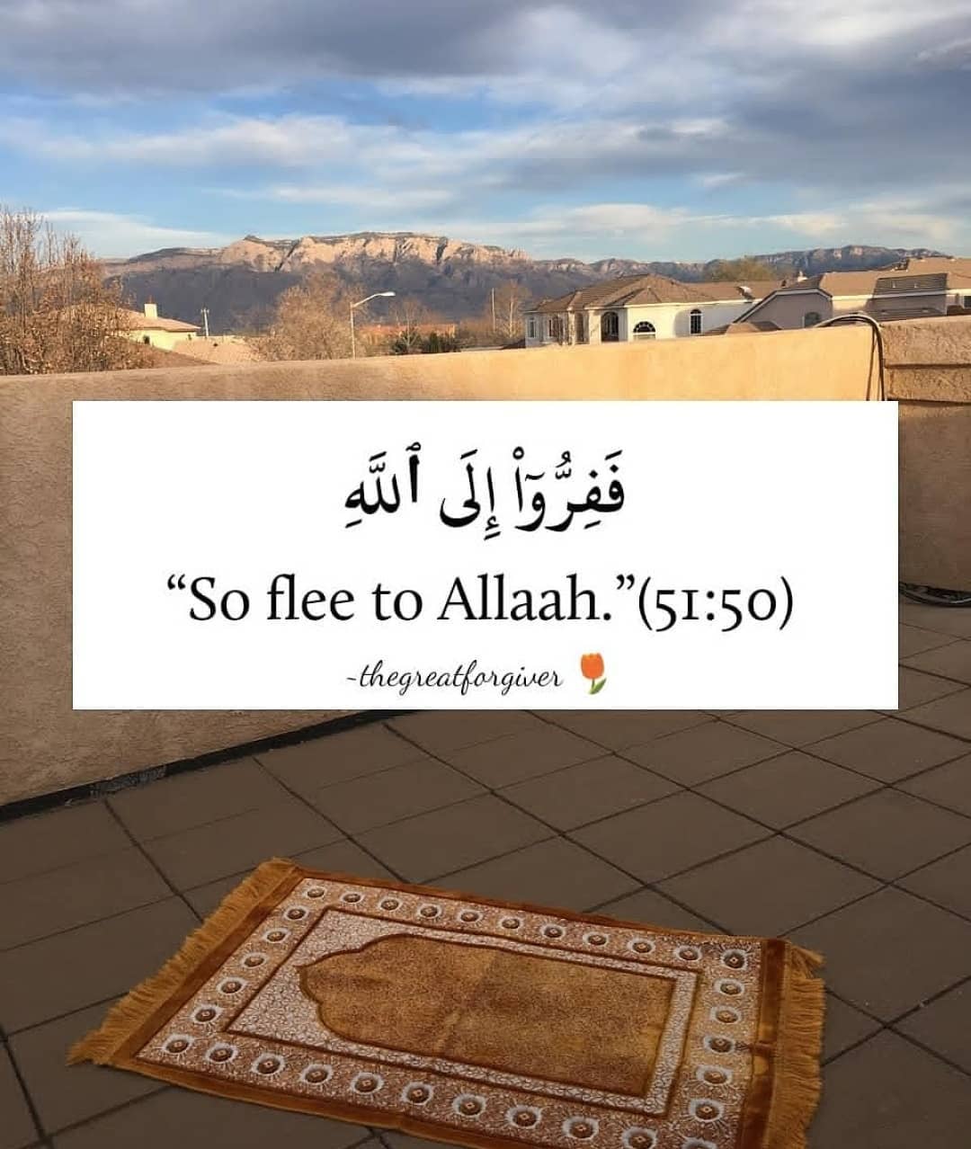 Allah❤︎