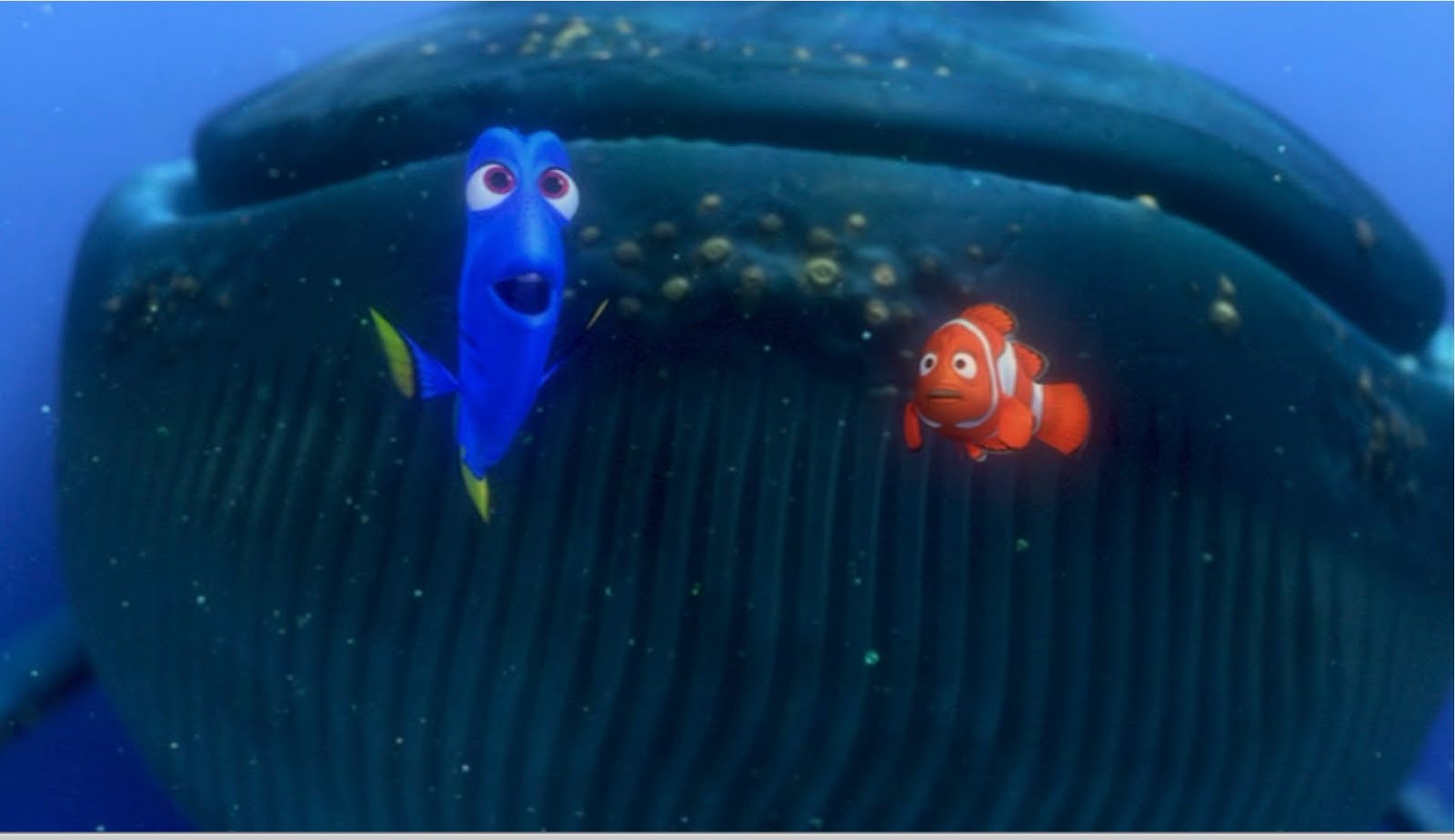 ejs is me.: January 2010 - Finding Nemo Dory Speaking Whale