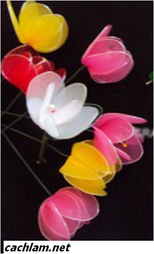 Cách làm hoa tulip vải voan | Biết đủ thứ | TayDo.