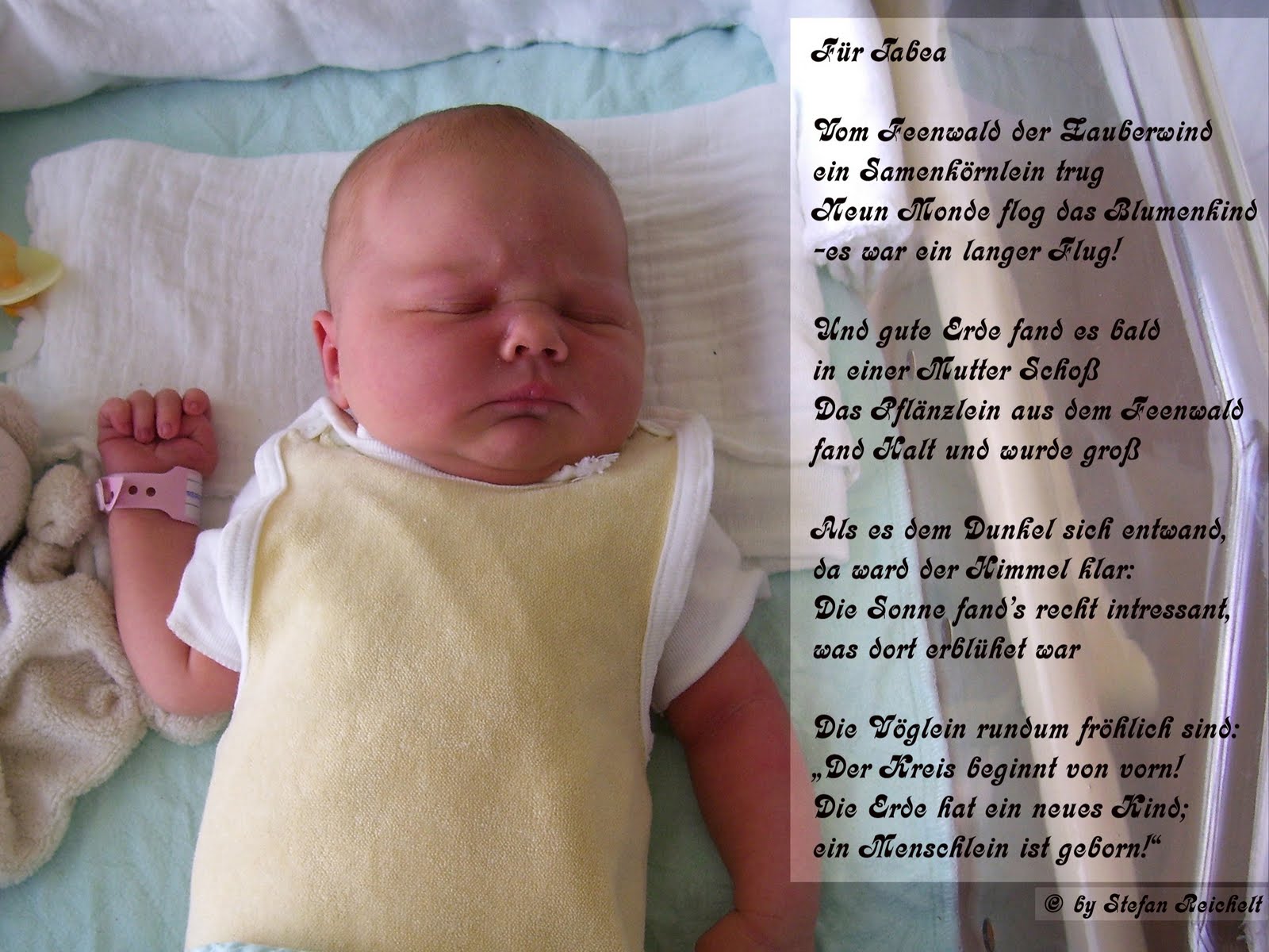 Seraphenfeuer Lyrik Und Kurzprosa Fur Tabea