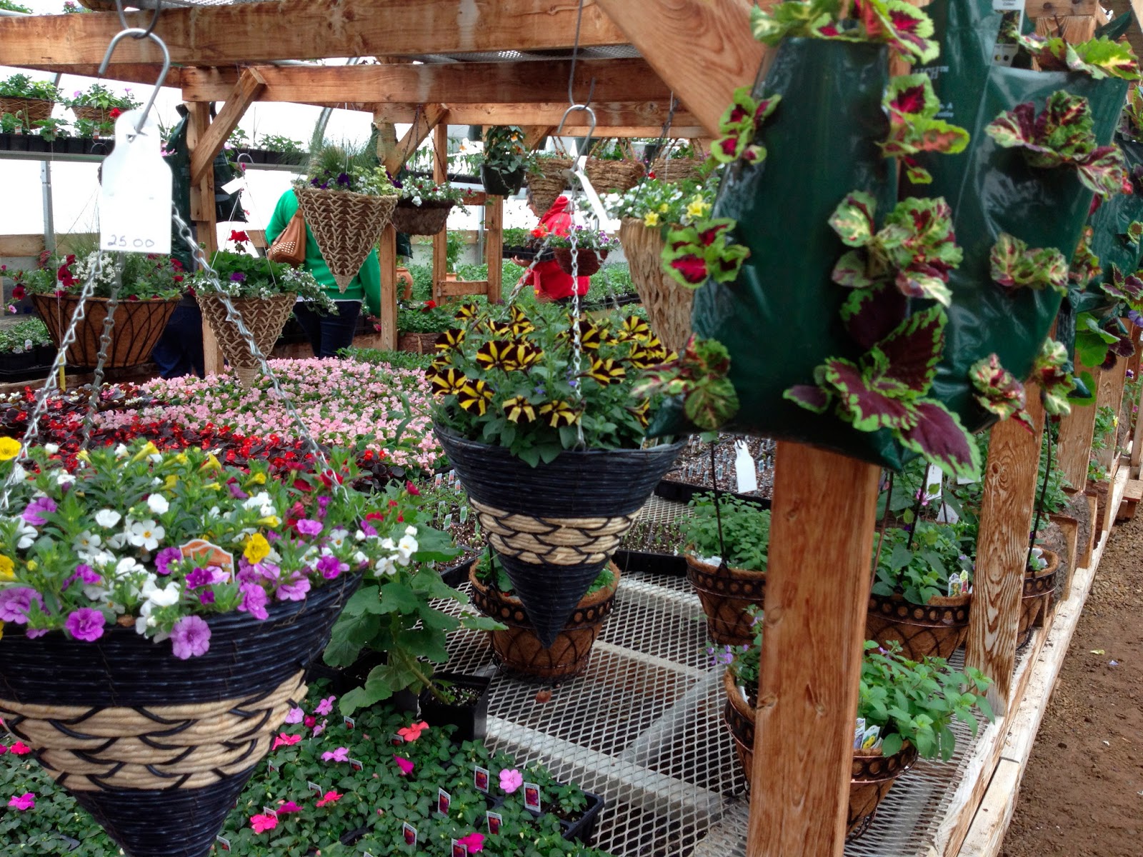 The Cabin Countess Amish Greenhouses