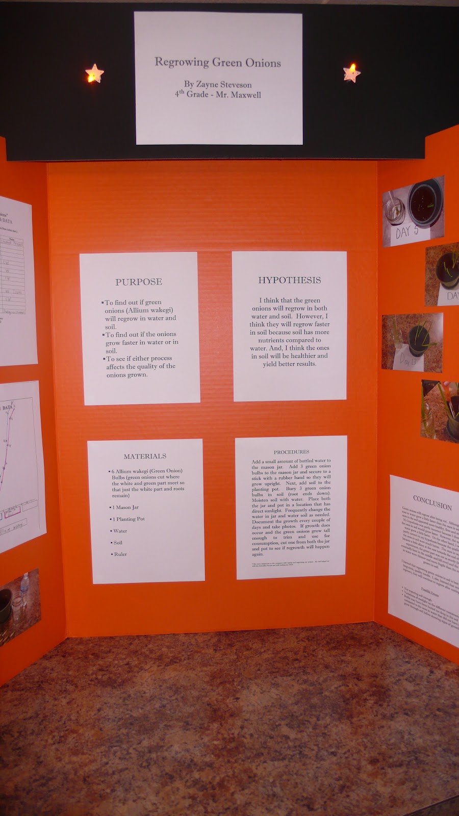 Joyously Domestic Regrowing Green Onions