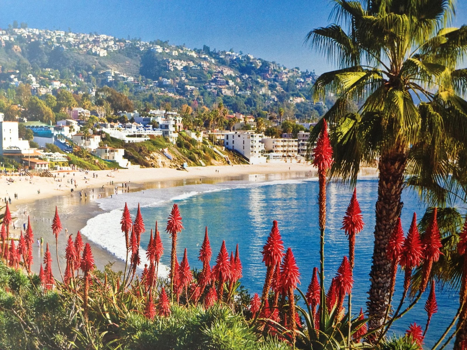 Laguna Cottage Rental Beautiful Laguna Beach Coastline