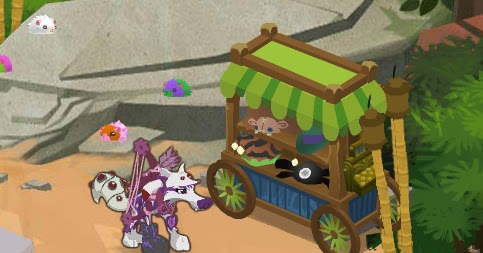 Animal jam no flash Animal jam no flash