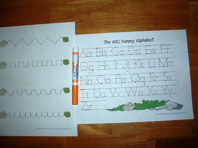 The ABC Bunny Alphabet