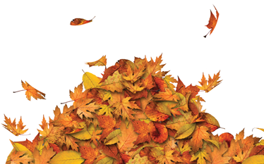 The Buddha's Path: November 2015