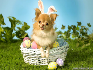 Funny Easter Sayings Funny Easter Sayings