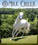 4 Mile Creek Gaited Horses