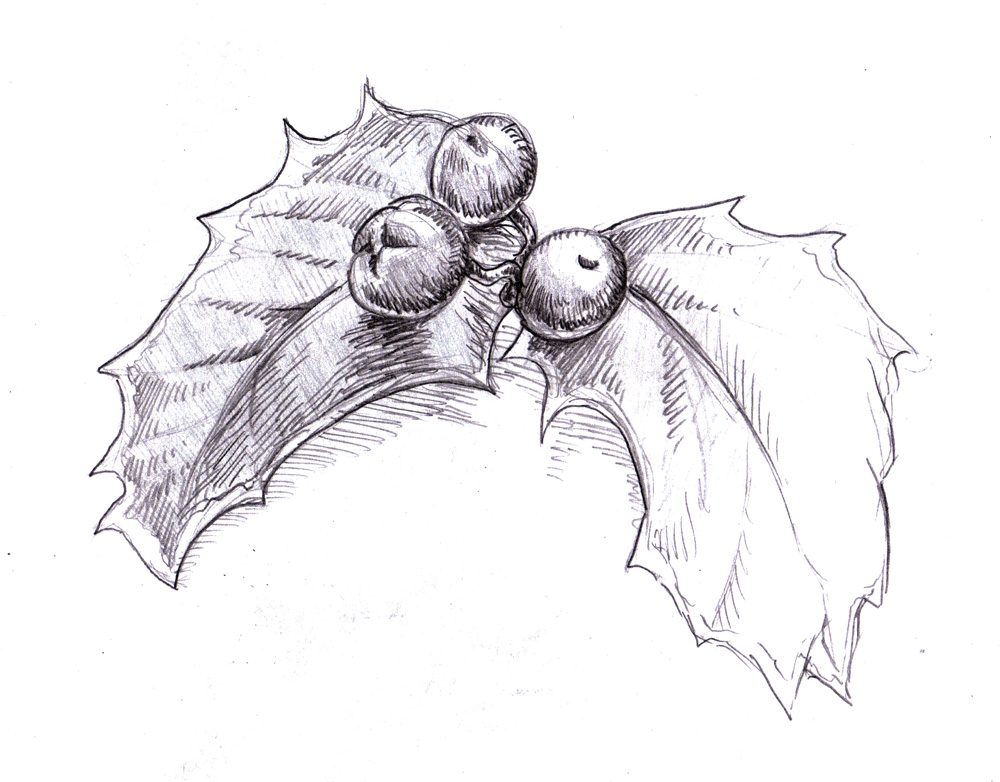 magellin blog holly sketch merry christmas scrooge