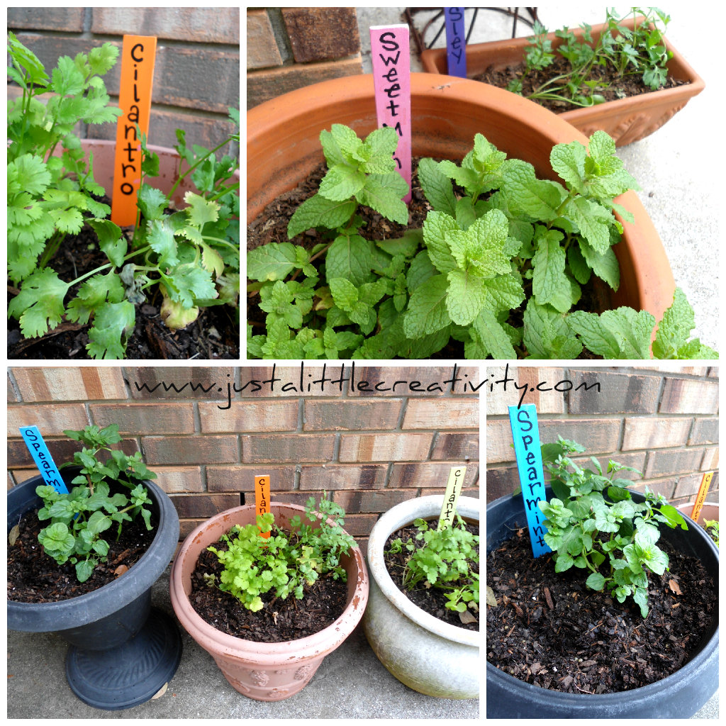 DIY Garden Markers from Paint Stir Sticks {Kids Crafts}