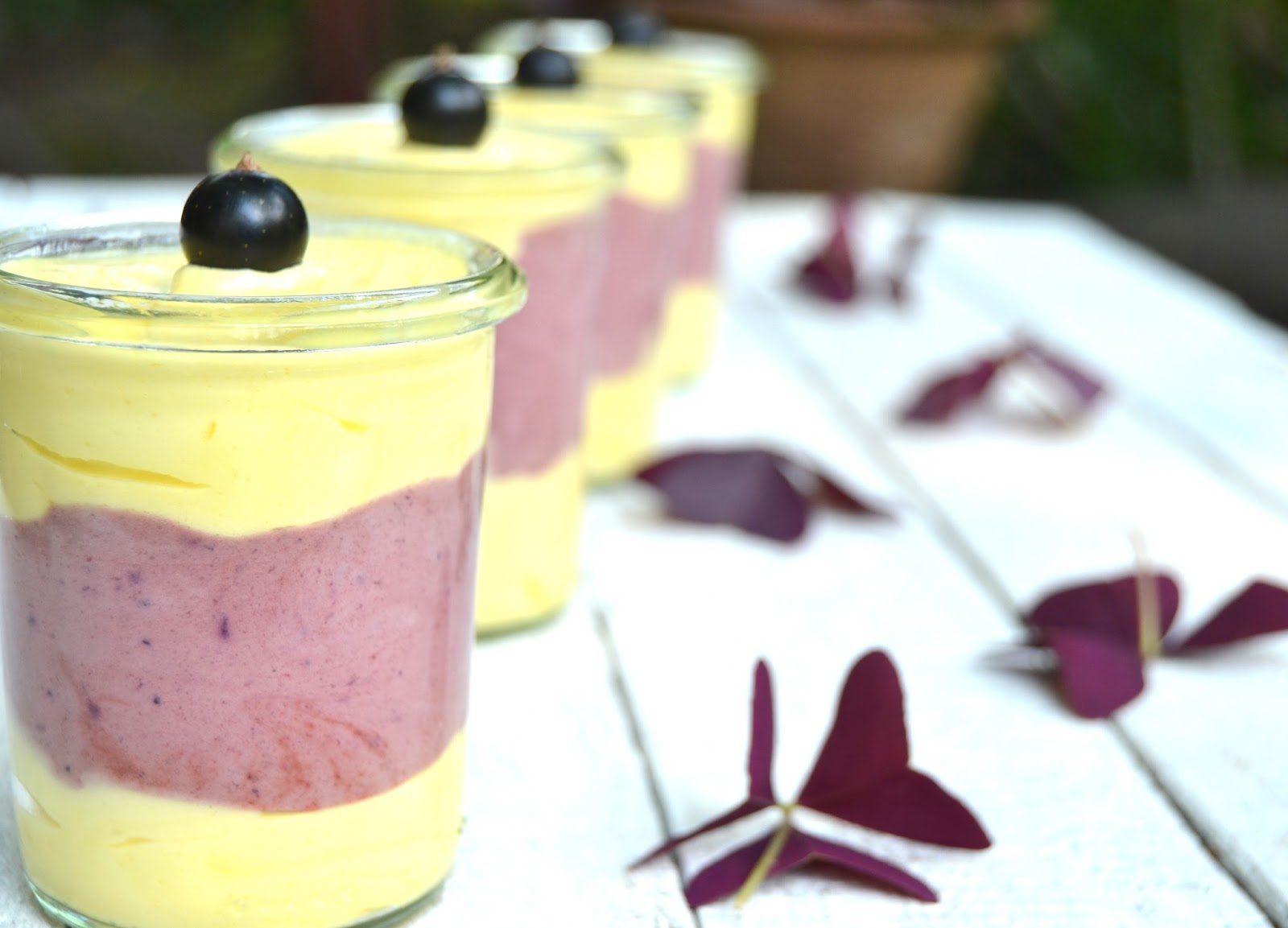 Cassis Vanille Parfait S Kuche