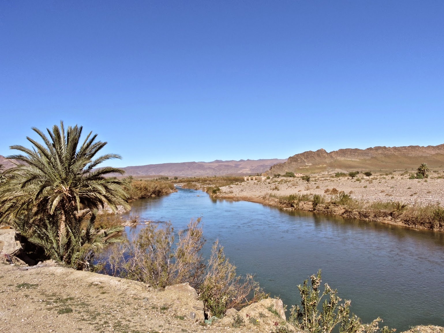 Ausgewandert Daheim Im Land Des Lachelns Januar 2014