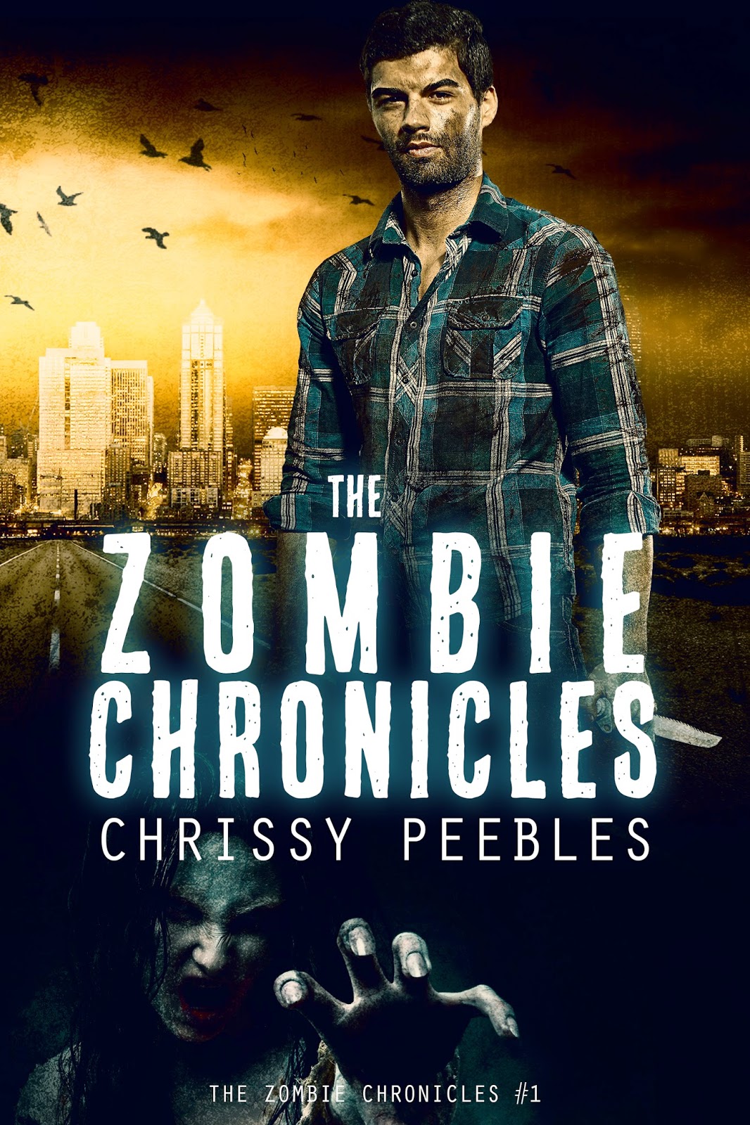 zombie chronicles edition steam zombie chronicles edition steam
