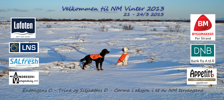 NM Vinter 2013