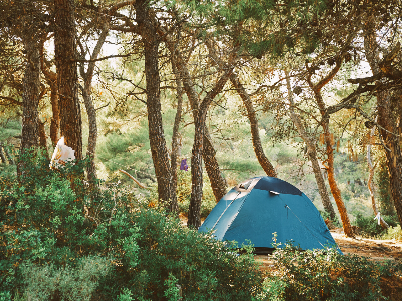 CAMPING CHECKLISTS AND IDEAS