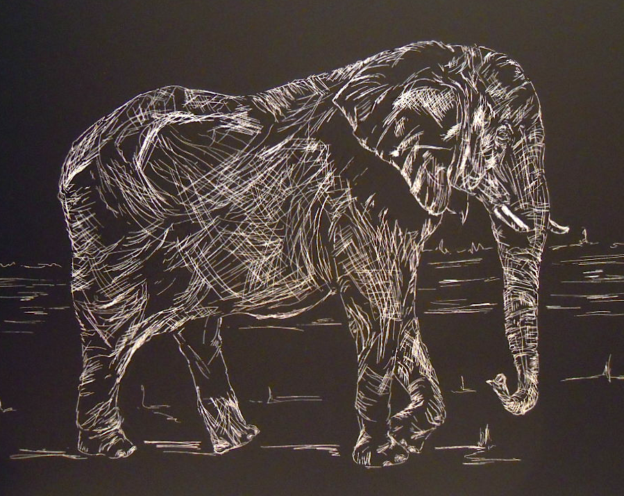 An Elephant a Day Elephant No. 290 Scratchboard