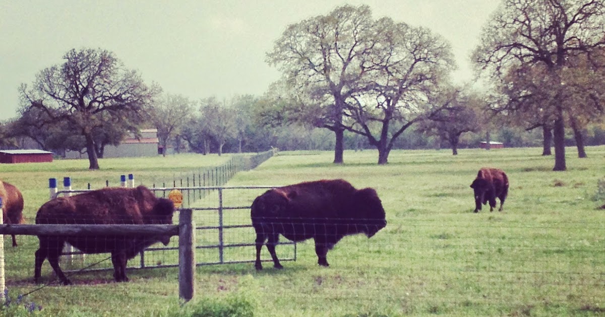 * Jenni Bowlin * Marburger Farms.