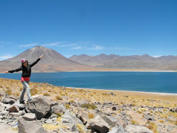 Laguna Miscanti- Chile