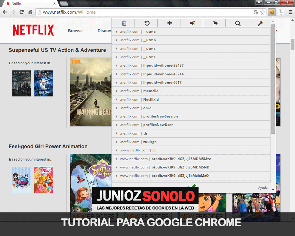 usar jubler en netflix usar jubler en netflix