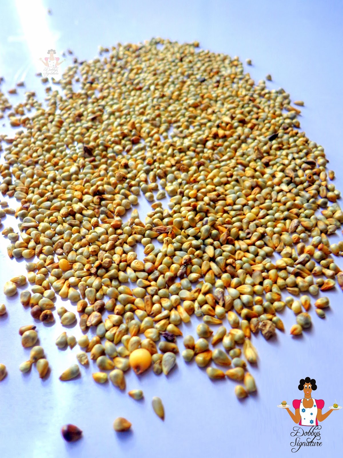 Kunun Zaki (Millet drink Recipe) Dobby's Signature