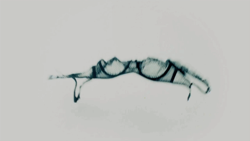 브라.gif