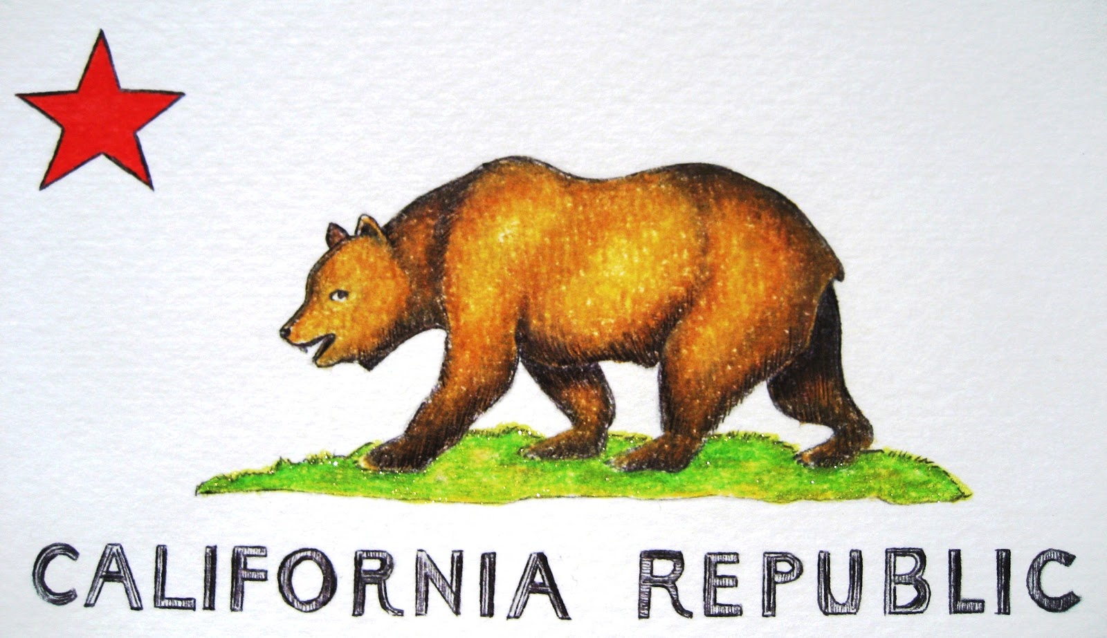 bear on flag