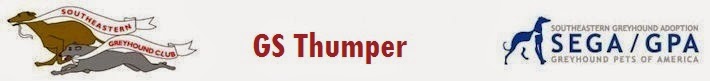 GC Thumper