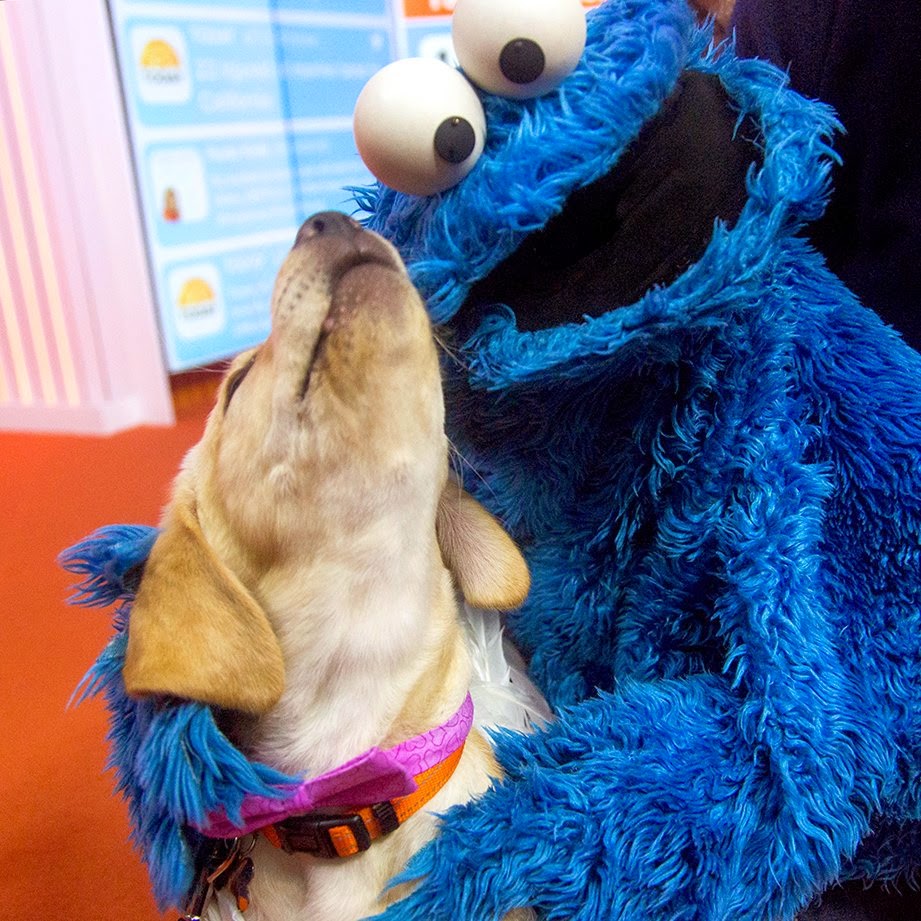 I Have Seen The Whole Of The Cookie Monster Meets A Puppy