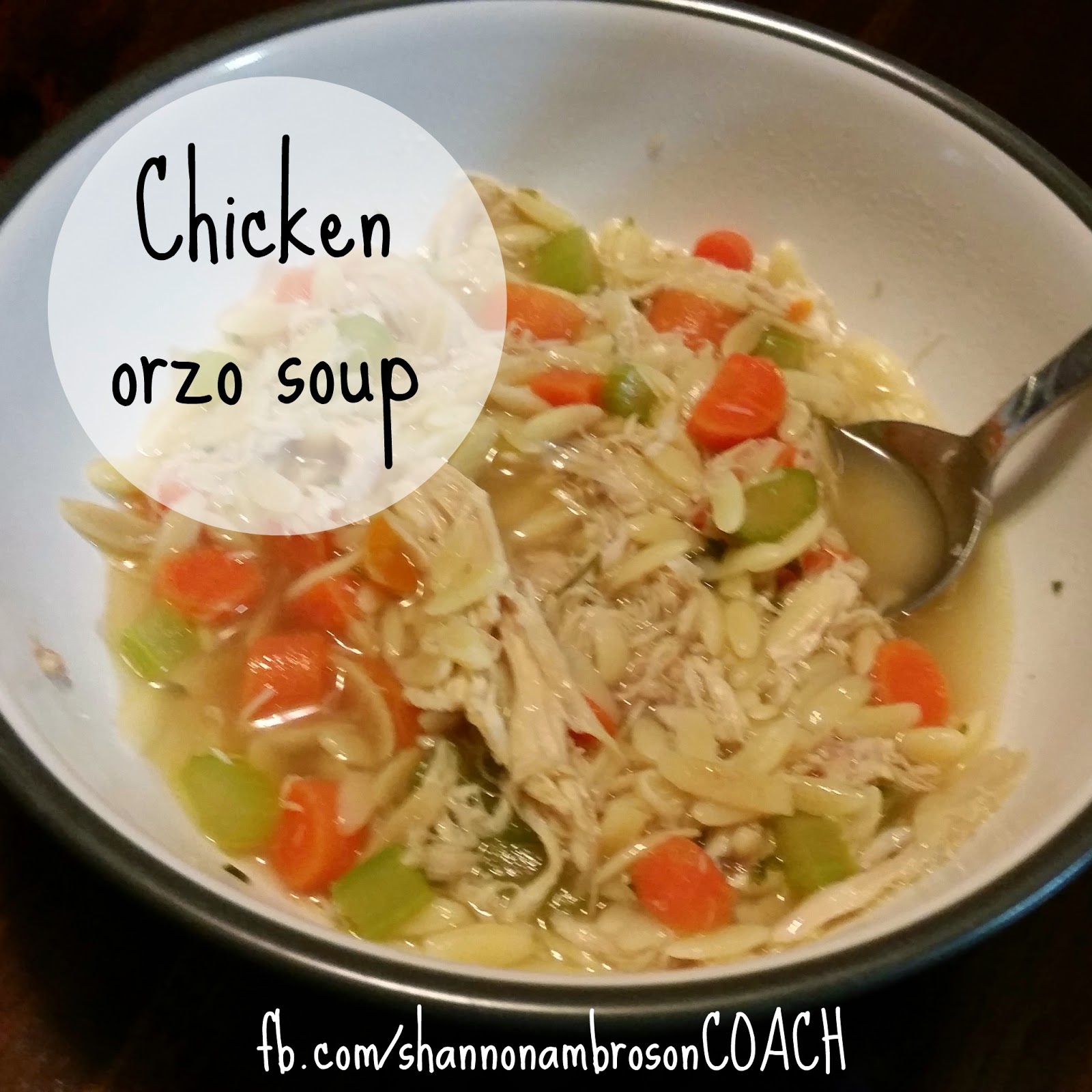 Quirky Girl Chicken Orzo Soup