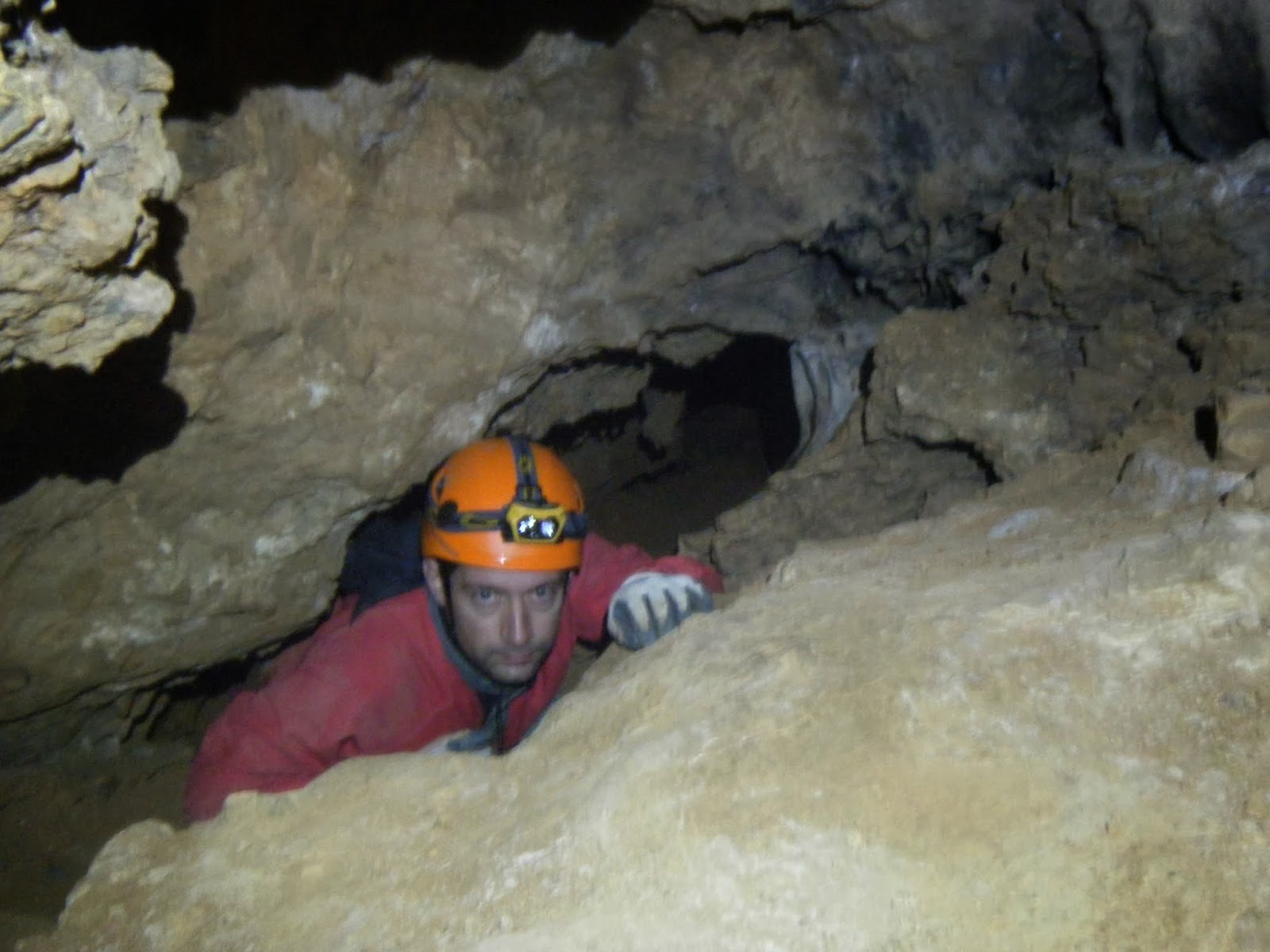 LA CABRA DE MONTE LA CUEVA DEL TORO (BELSUE).