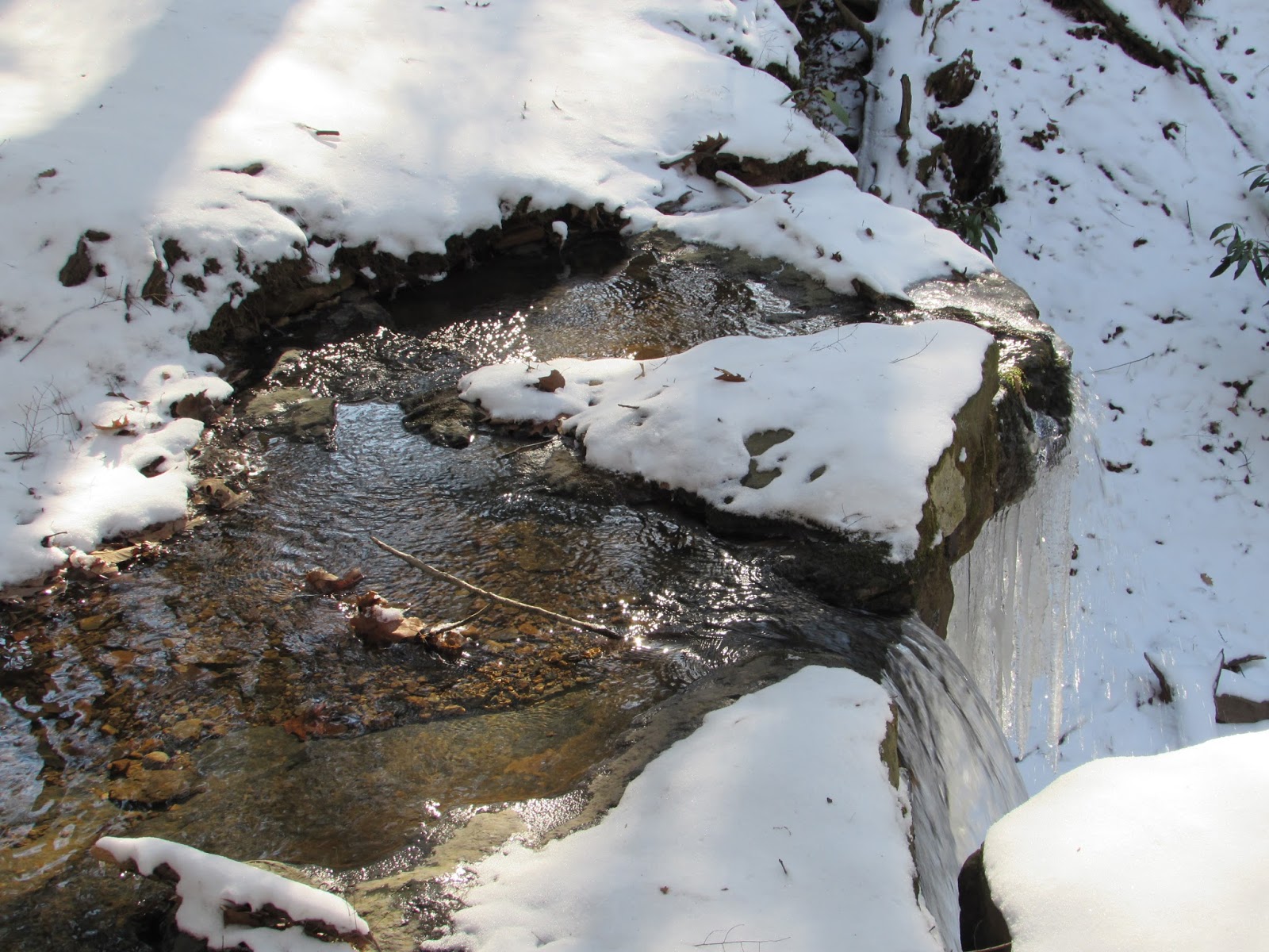 Linn Run State Park, Ligonier, PA, Westmoreland County Interesting