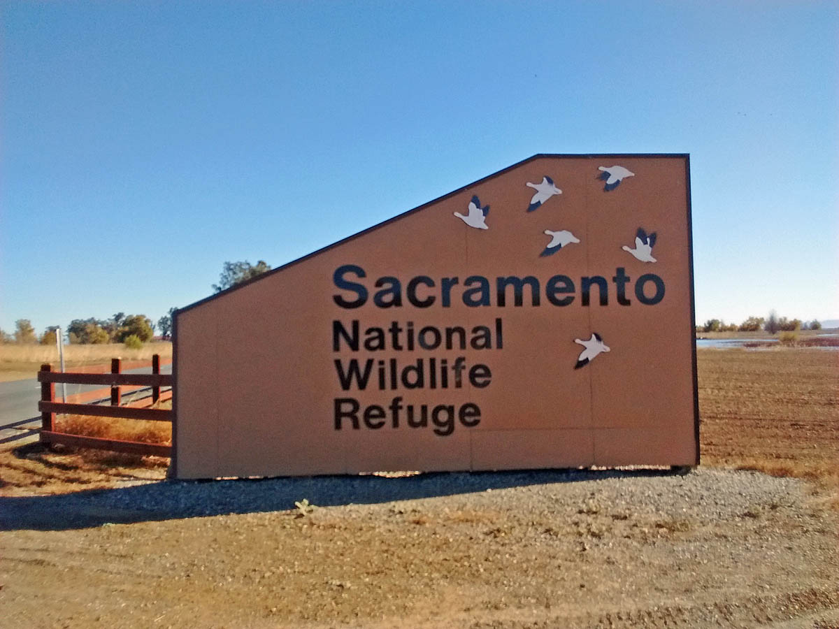 Sacramento Nwr Auto Tour Route Sacramento Nwr Auto Tour Route