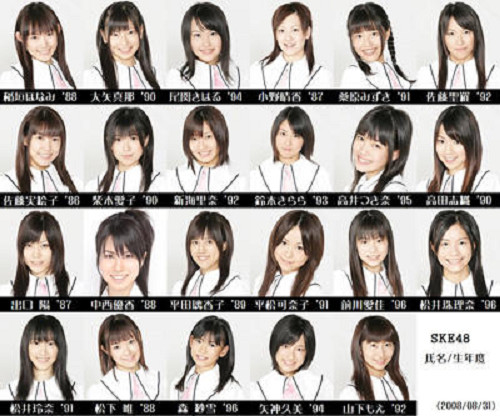 SKE481