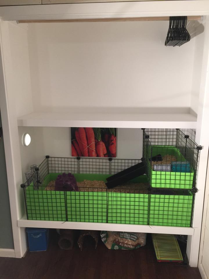 One Thrifty Chick Closet Makeover BuiltIn Guinea Pig Cage