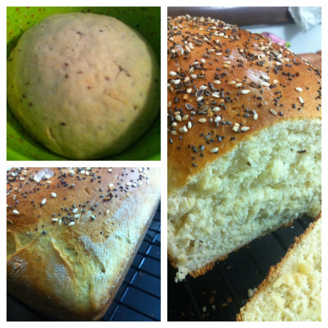 Life and Other Shenanigans Dill Seed Bread